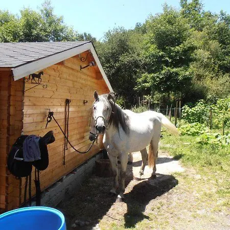 Ferme Peyrot 64 Chalet En Bois Nature Aventure Bien Etre 4 A 5 Personnes