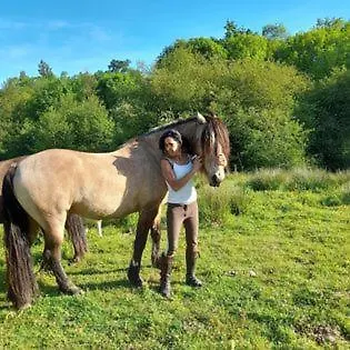 Ferme Peyrot 64 Chalet En Bois Nature Aventure Bien Etre 4 A 5 Personnes * Viellesegure