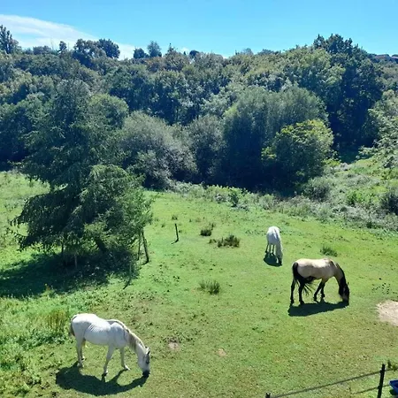 Ferme Peyrot 64 Chalet En Bois Nature Aventure Bien Etre 4 A 5 Personnes Viellesegure